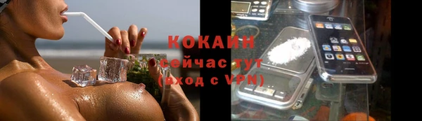 амф Козловка