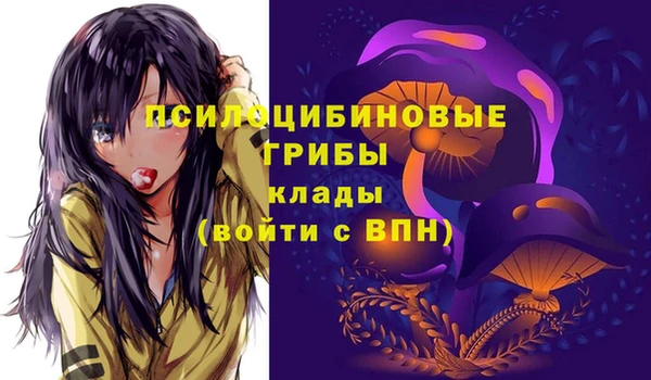 СК Кодинск