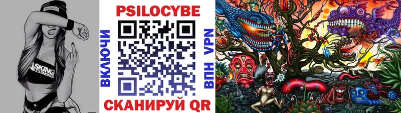Купить где  Дедовск  Галлюциногенные грибы мицелий 